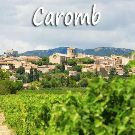 Belle Maison Provencale Au Pied Du Mont Ventoux Caromb Exterior foto